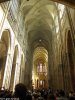kolonia sudety 2010_176